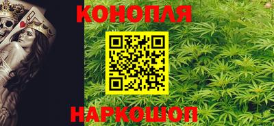 гидропоника Можга