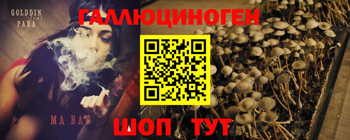 Галлюциногенные грибы ЛСД  Псилоцибиновые грибы мухоморы  Гуково  Вход с VPN 